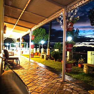 Superior Double or Twin Room Mountain View